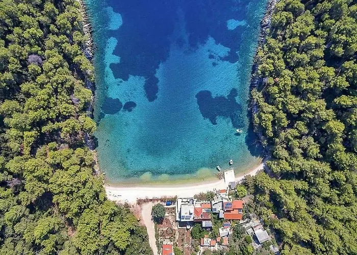 Smokvina Apartament Bogomolje