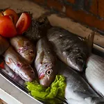 Smokvina Lejlighed Bogomolje