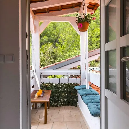 Apartmán Smokvina Bogomolje