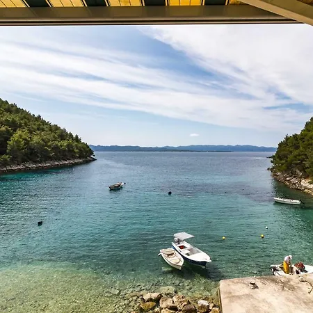 Smokvina * Bogomolje